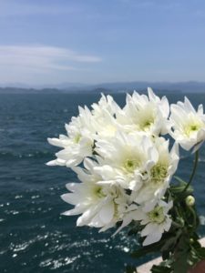 散骨をイメージした海と花