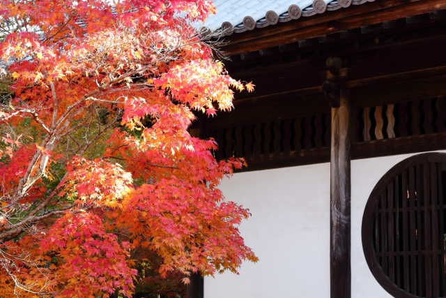 お寺のお堂と紅葉