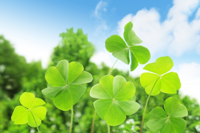 青空とクローバー