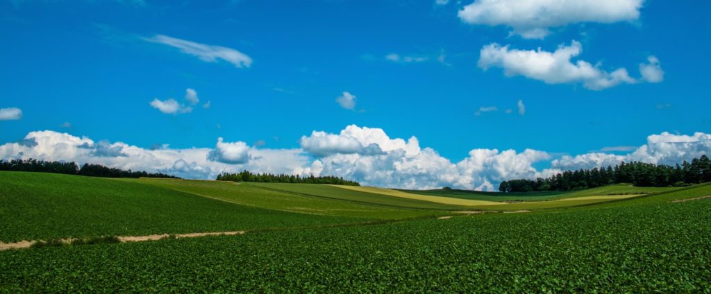 草原と青い空